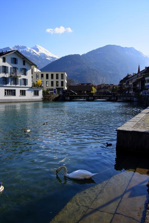 The River Holiday Apartment Interlaken Buitenkant foto